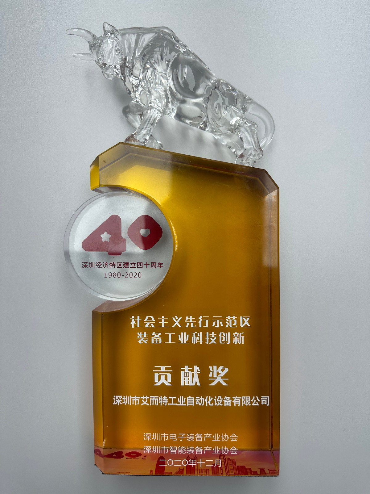 艾而特-2020年社會主義先行示范區(qū)貢獻(xiàn)獎